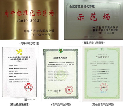 70年歷史國企推出&ldquo;豚點&rdquo;牛肉 供港品質惠及武漢市民