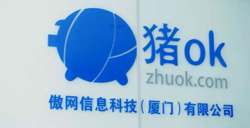 隱形廈門股 有哪些 這六家熟悉的上市企業注冊地并非廈門 丨觀瀾財經