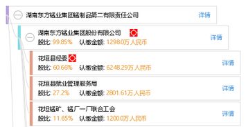 湖南東方錳業(yè)集團錳制品第二有限責任公司