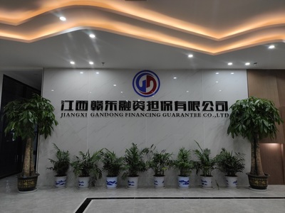 江西贛東地區合伙企業注冊流程與融資擔保行業準入指南