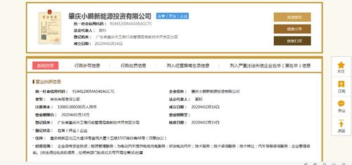 小鵬汽車深化產業布局 1億元設立新能源投資公司，分公司注冊同步啟動